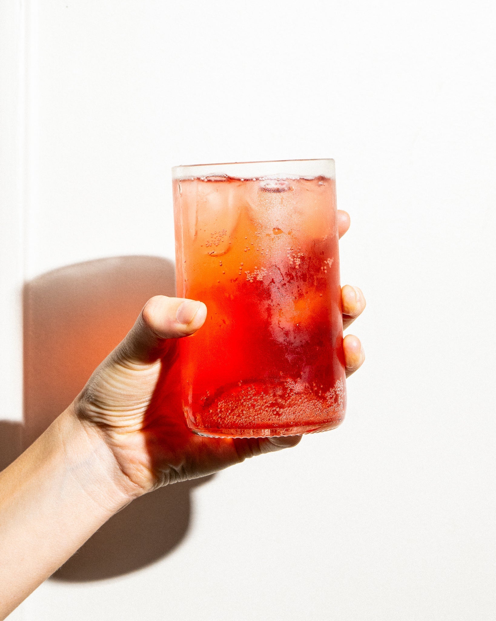 Necense, des boissons 100% naturelles et sans bouteilles !