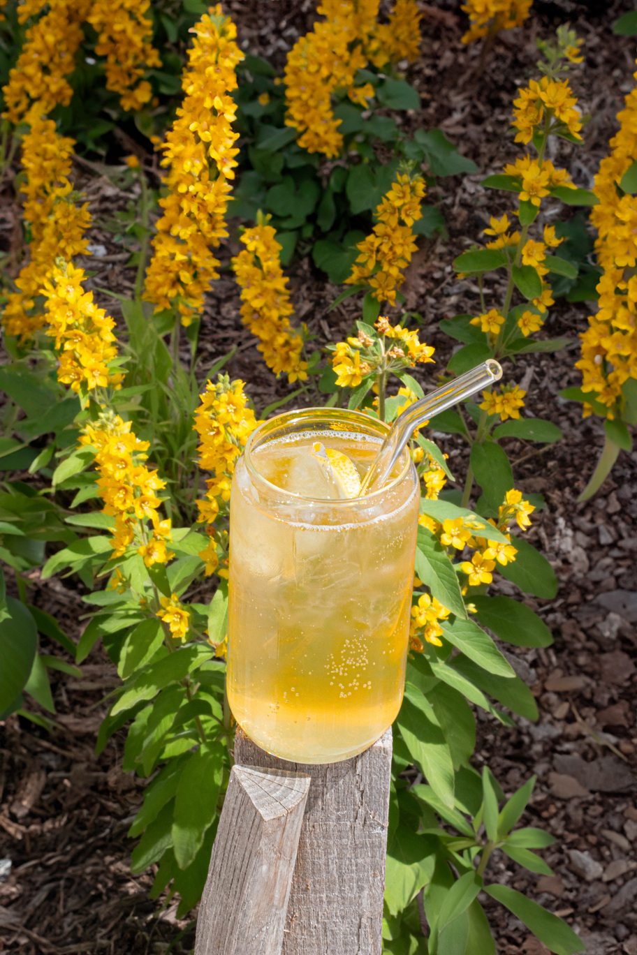 Mocktail Peche Citron GIngembre Necense